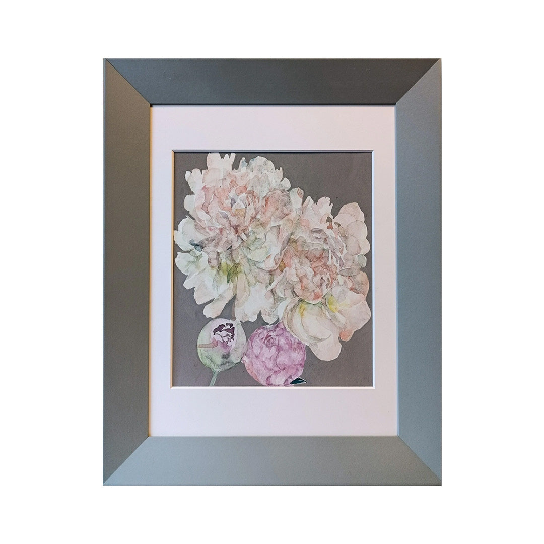 peony blooms1
